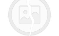 中国人寿怎么样，中国人寿怎么样可靠吗
